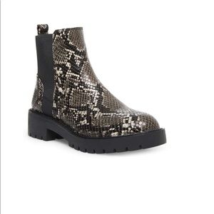 Steve Madden Gliding Snakeskin Booties